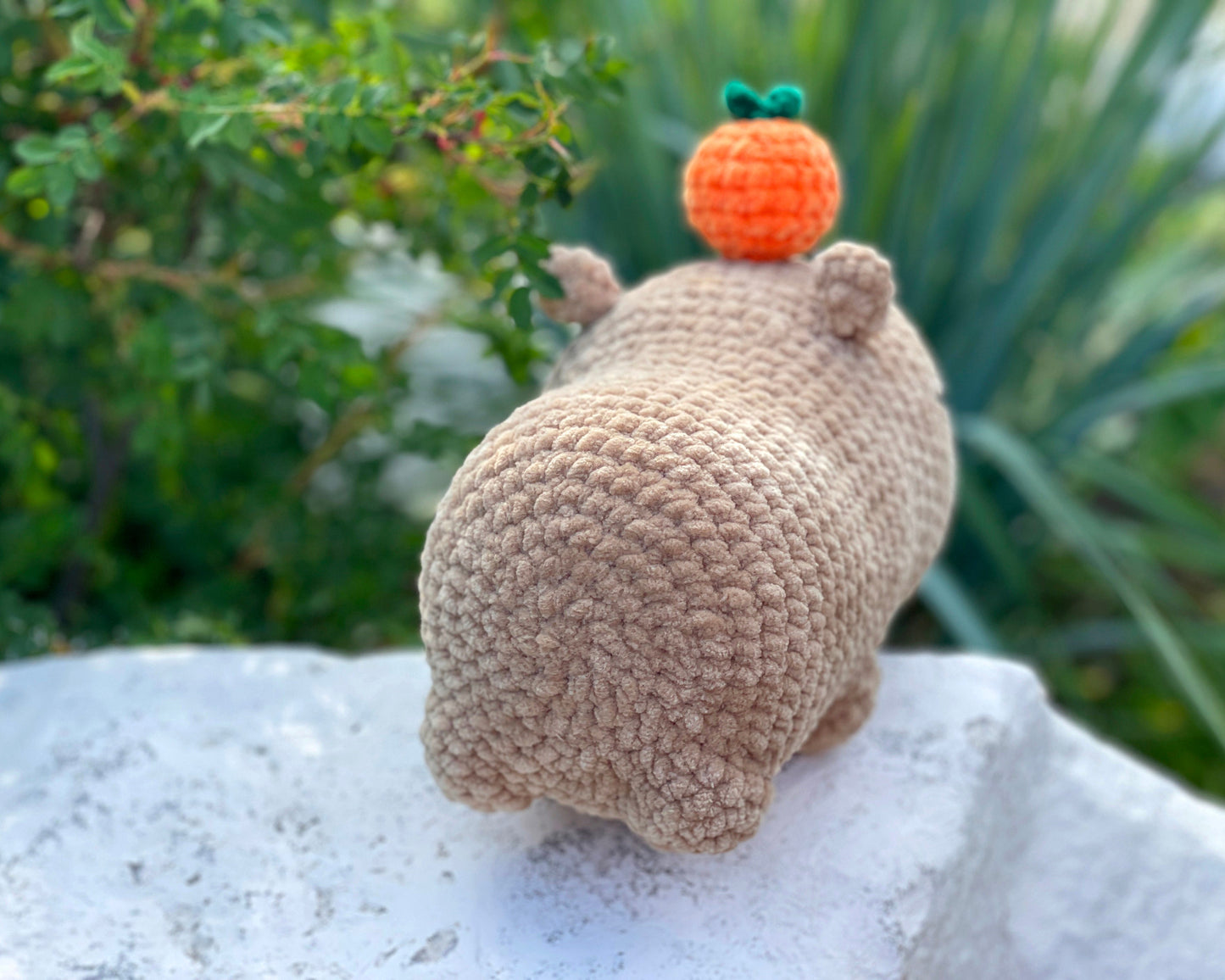Capybara CROCHET PATTERN 3in1