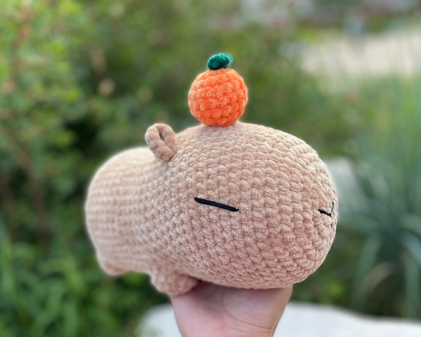 Capybara CROCHET PATTERN 3in1